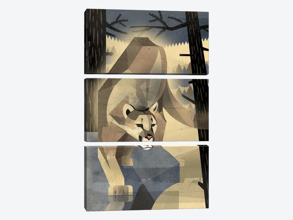 Mountain Lion 3-piece Canvas Print
