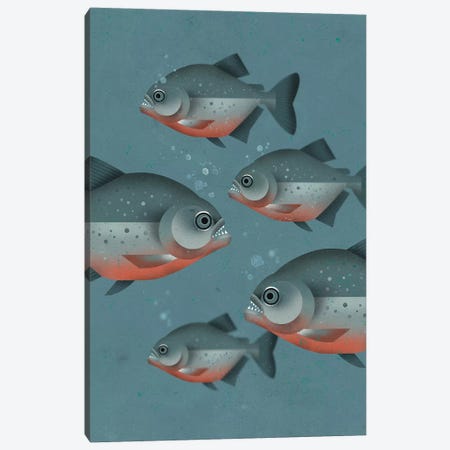 Piranhas Canvas Print #DBR16} by Dieter Braun Canvas Wall Art