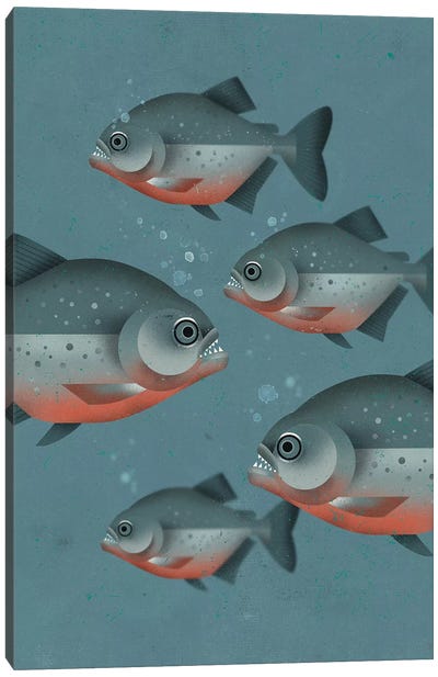 Piranhas Canvas Art Print - Dieter Braun