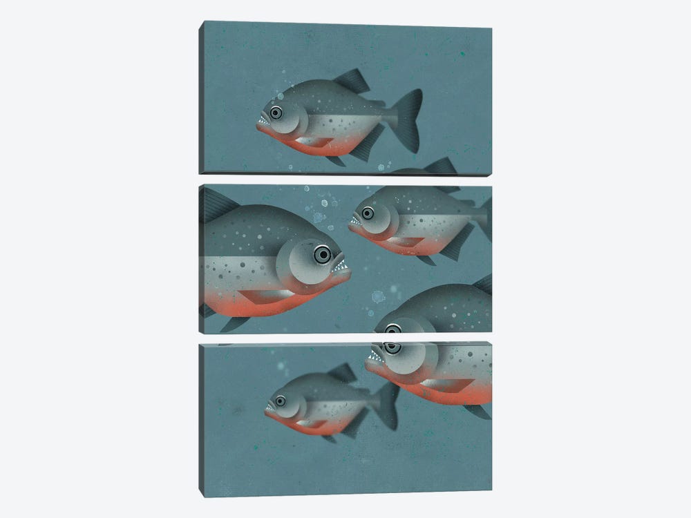 Piranhas by Dieter Braun 3-piece Canvas Artwork