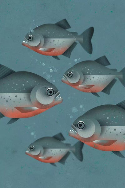 Kids Ocean Life Art: Piranhas by Dieter Braun