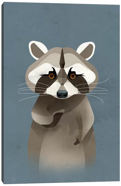 Racoon Canvas Art Print - Raccoon Art