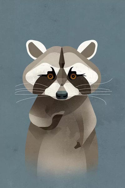Dieter Braun: Racoon by Dieter Braun