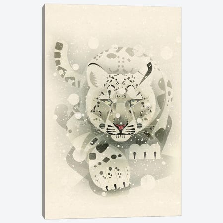 Snow Leopard Canvas Print #DBR19} by Dieter Braun Canvas Print