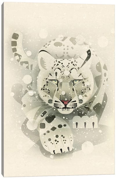Snow Leopard Canvas Art Print - Dieter Braun