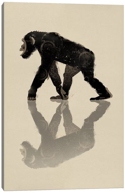Chimp Canvas Art Print - Primate Art