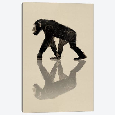Chimp Canvas Print #DBR1} by Dieter Braun Canvas Print