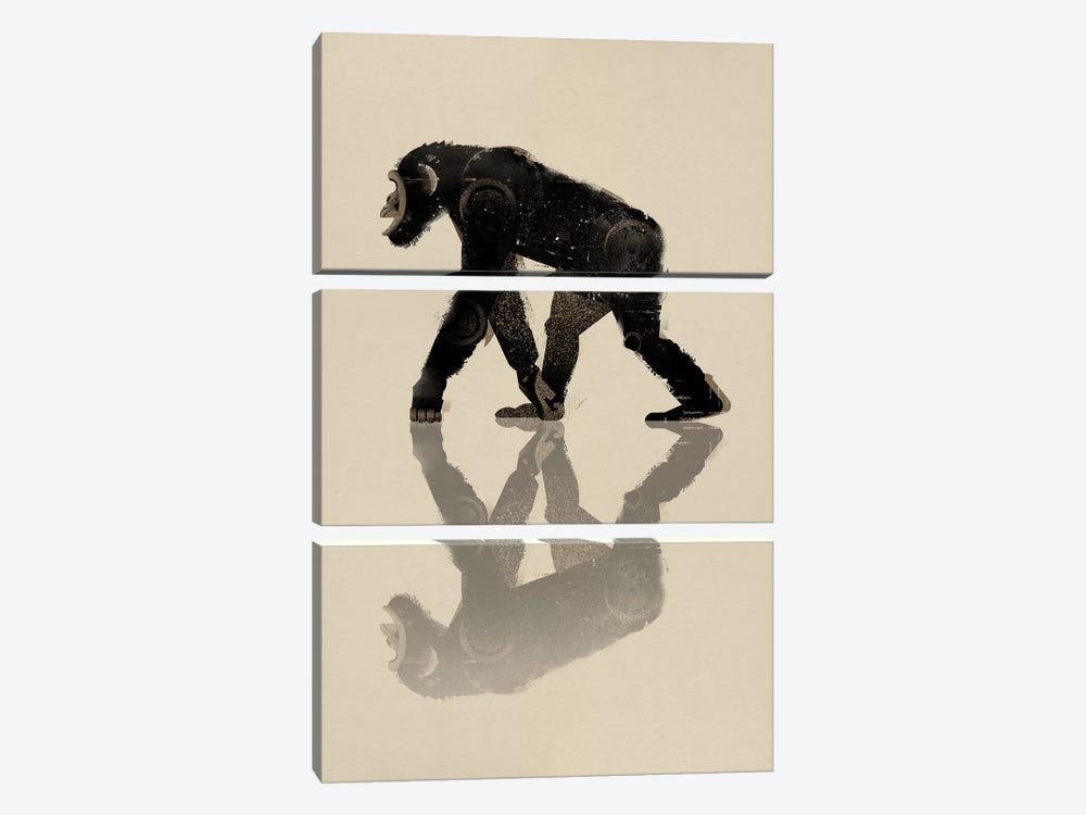 Chimp by Dieter Braun 3-piece Art Print