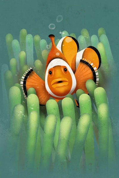 Clown Fish by Dieter Braun canvas print