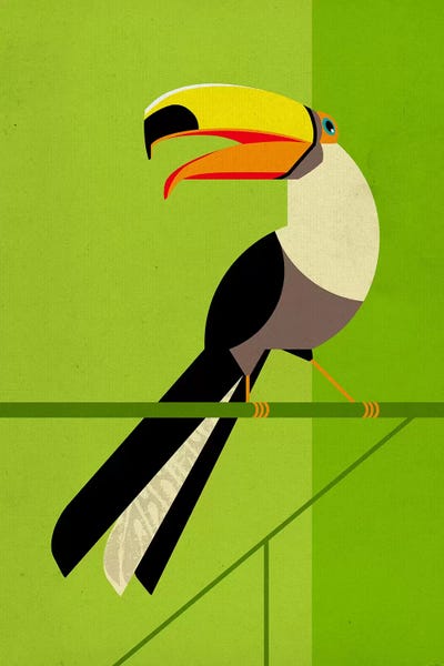 Dieter Braun: Tucan by Dieter Braun