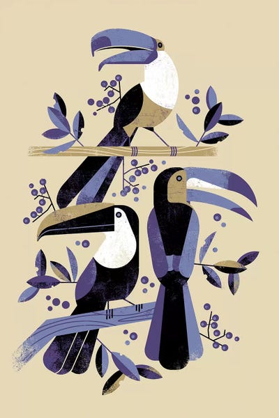 Mid-Century Modern Animals: Tucans by Dieter Braun