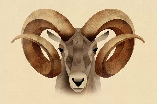 Dieter Braun: Urial by Dieter Braun