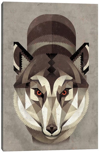 Wolf Canvas Art Print - Dieter Braun