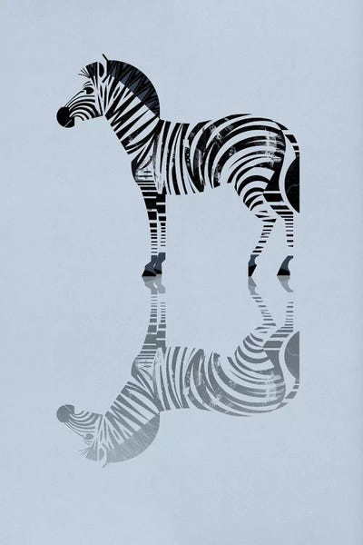 Zebra by Dieter Braun art print