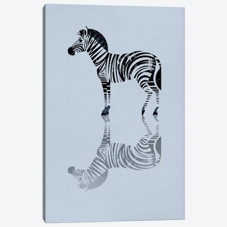 Zebra Canvas Print #DBR24} by Dieter Braun Art Print