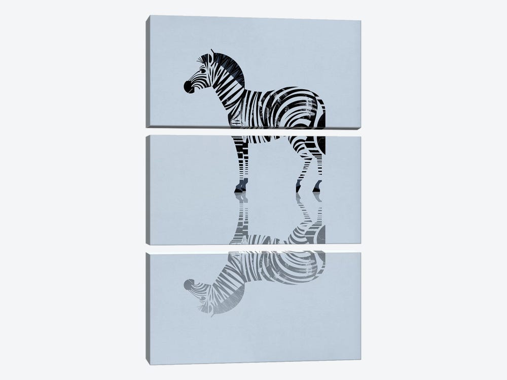 Zebra by Dieter Braun 3-piece Art Print