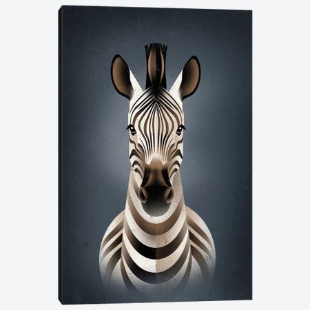Zebra II Canvas Print #DBR25} by Dieter Braun Art Print