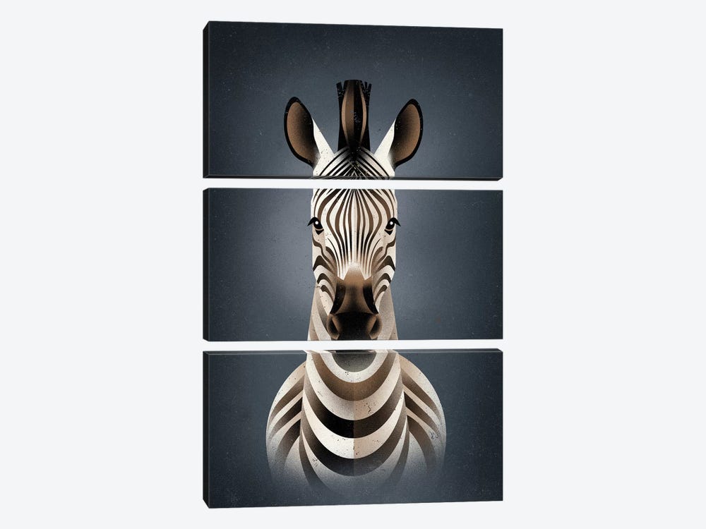 Zebra II by Dieter Braun 3-piece Canvas Artwork