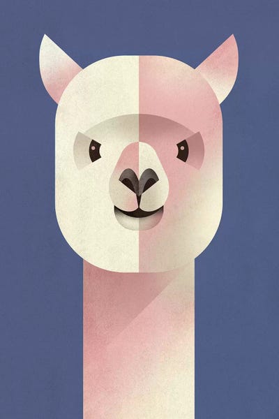 Llamas & Alpacas: Alpaka by Dieter Braun