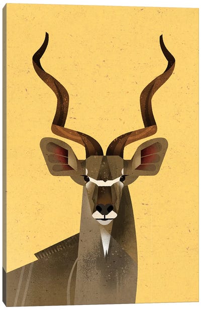 Big Kudu Canvas Art Print - Antelope Art