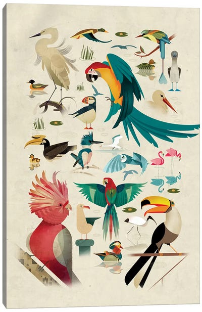 Birds Canvas Art Print - Dieter Braun