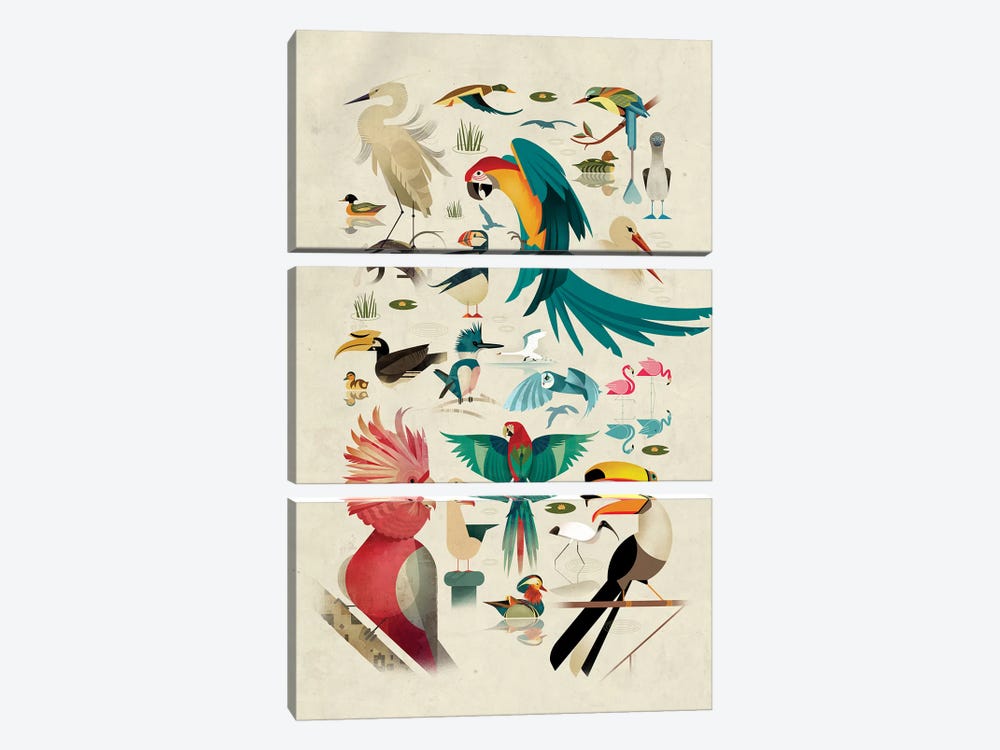 Birds by Dieter Braun 3-piece Canvas Print