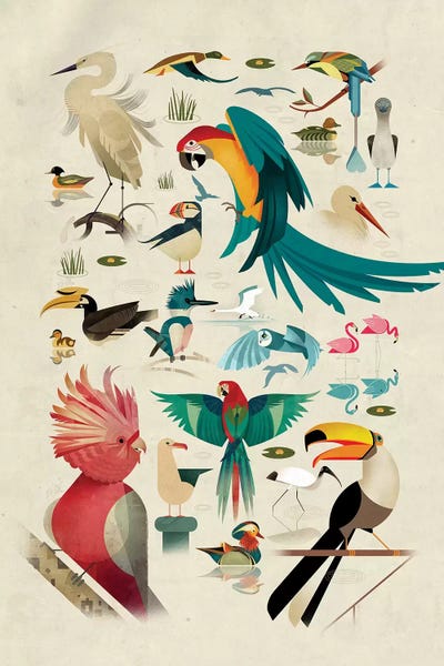 Dieter Braun: Birds by Dieter Braun