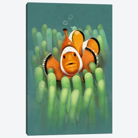 Clown Fish Canvas Print #DBR2} by Dieter Braun Canvas Art Print