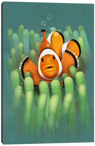 Clown Fish Canvas Art Print - Dieter Braun