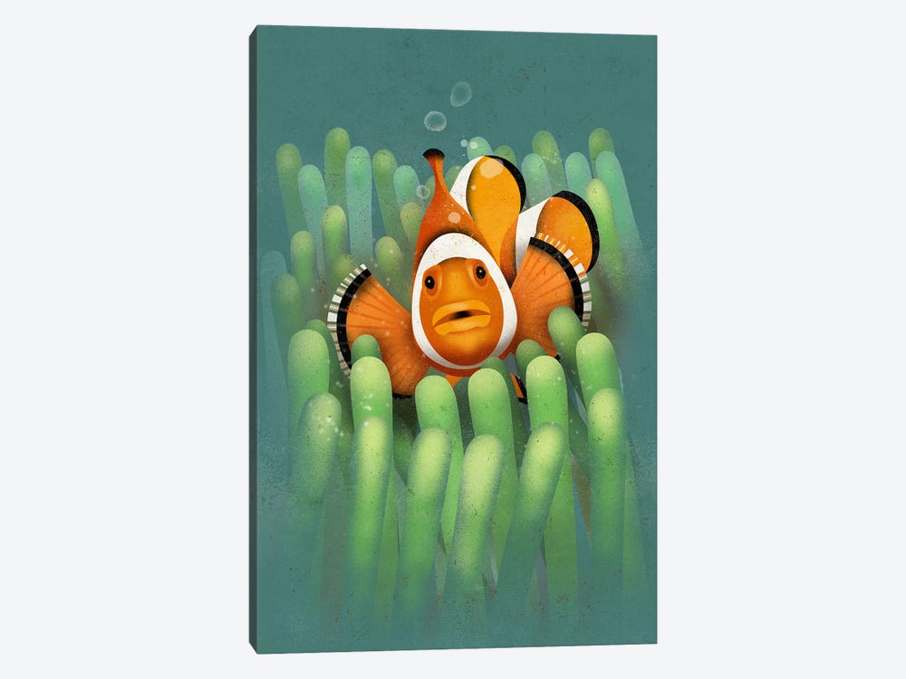 Clown Fish by Dieter Braun 1-piece Canvas Art