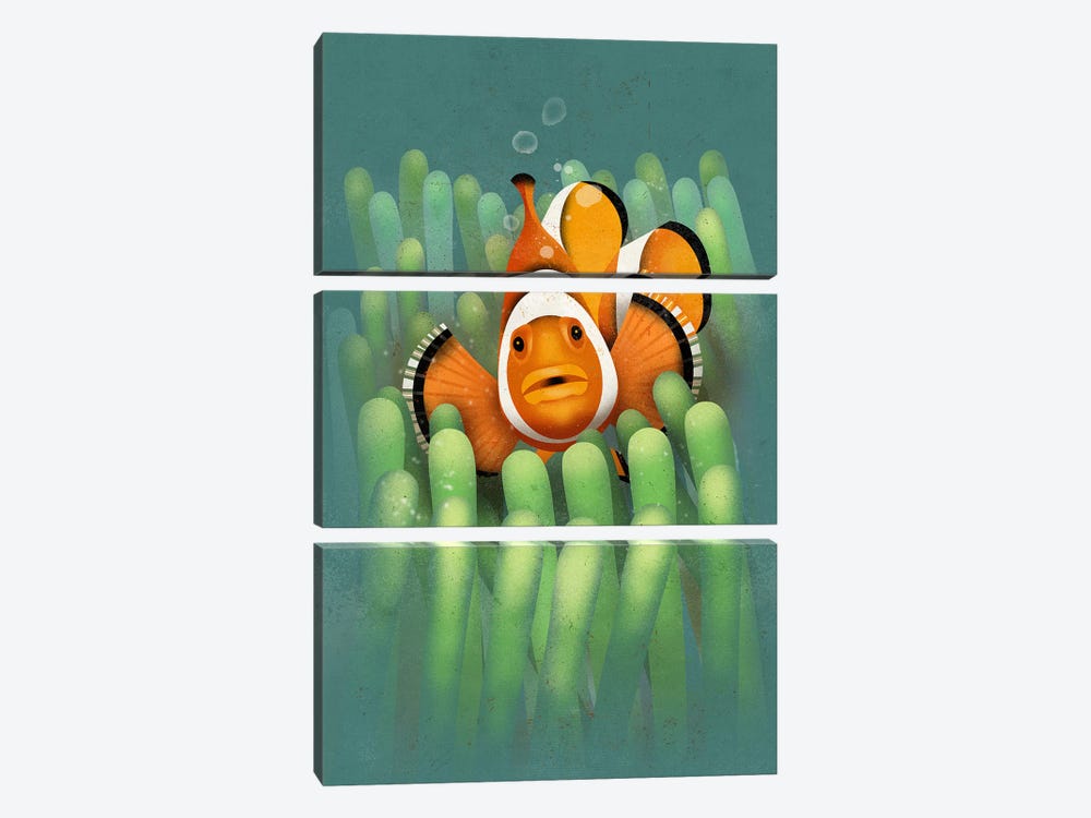 Clown Fish by Dieter Braun 3-piece Canvas Artwork