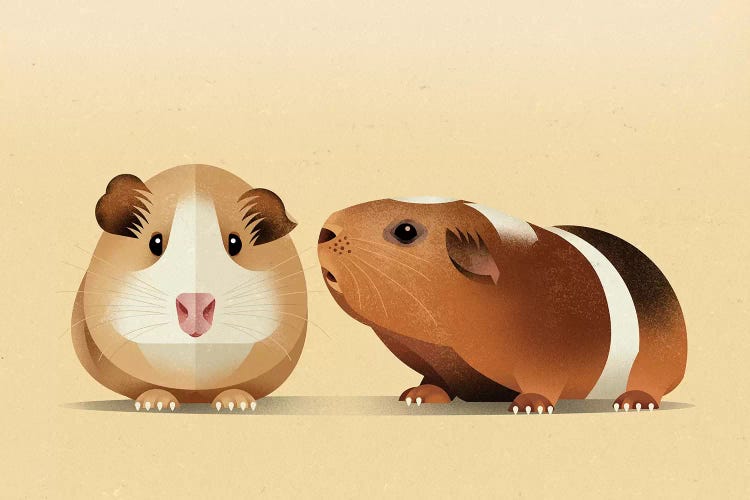 Guinea Pig by Dieter Braun wall art