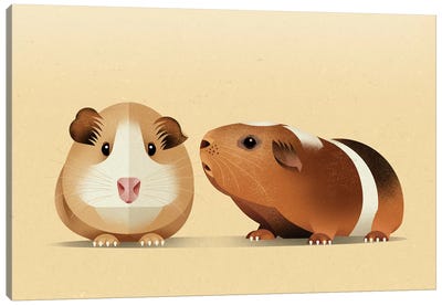 Guinea Pig Canvas Art Print - Rodent Art