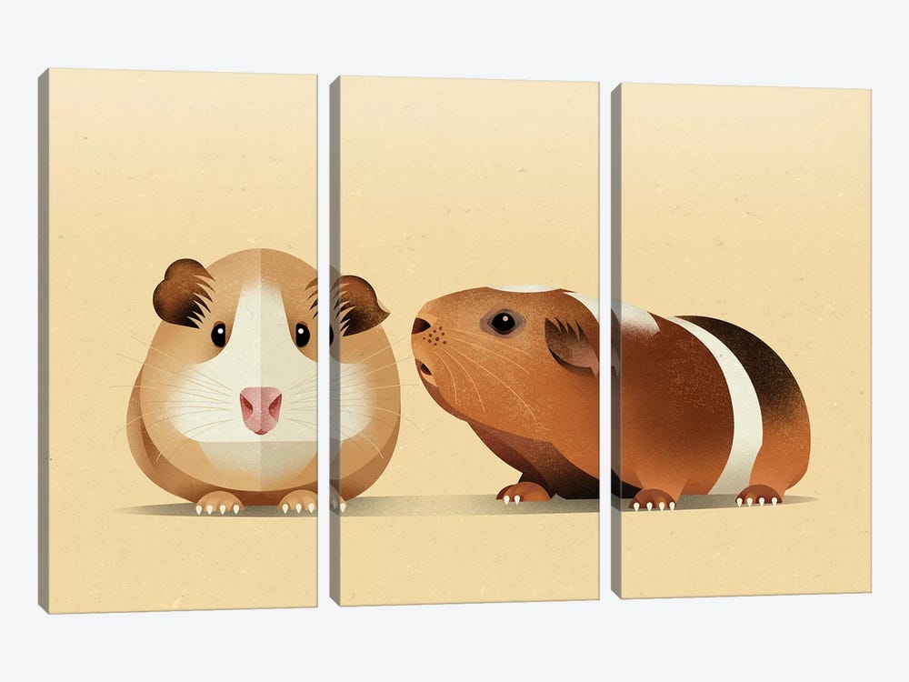 Guinea Pig by Dieter Braun 3-piece Canvas Print