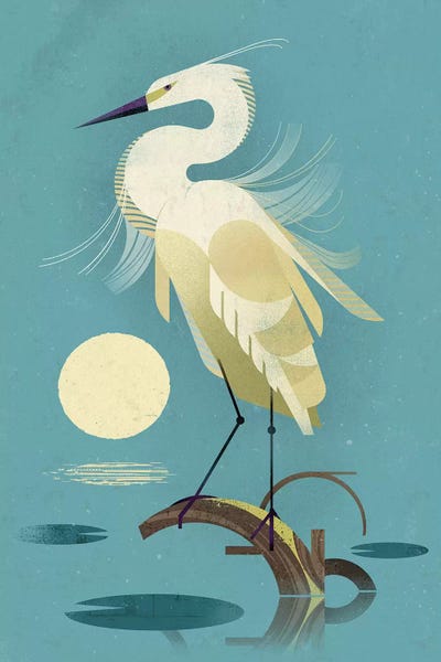 Little Egret by Dieter Braun framed canvas print
