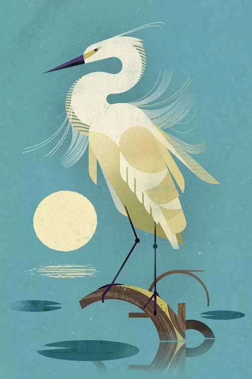 Little Egret by Dieter Braun wall art