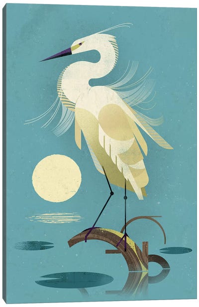 Little Egret Canvas Art Print - Egret Art