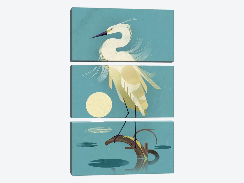 Little Egret by Dieter Braun 3-piece Canvas Print