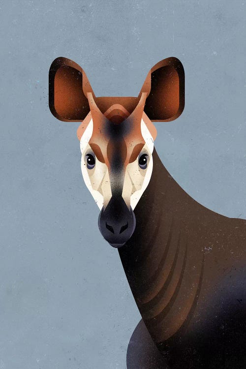 Okapi by Dieter Braun wall art