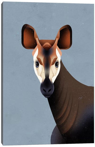 Okapi Canvas Art Print - Giraffe Art