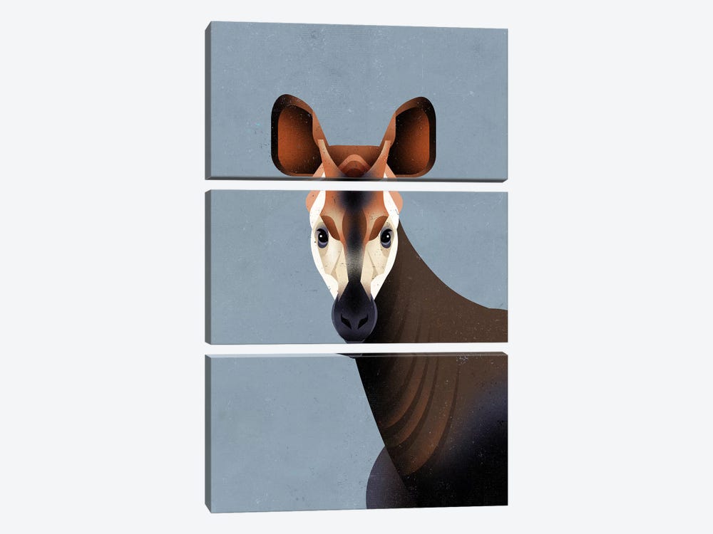 Okapi by Dieter Braun 3-piece Canvas Wall Art