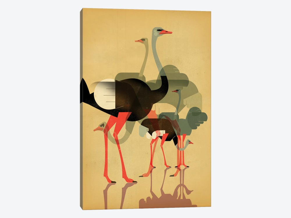 Ostriches 1-piece Canvas Print
