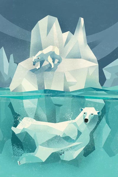 Dieter Braun: Polar Bear by Dieter Braun