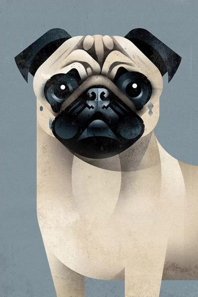 Pug by Dieter Braun metal wall art