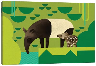 Tapir Canvas Art Print - Tapirs
