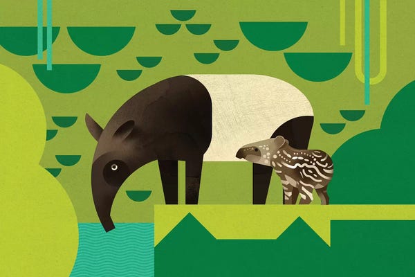 Tapirs