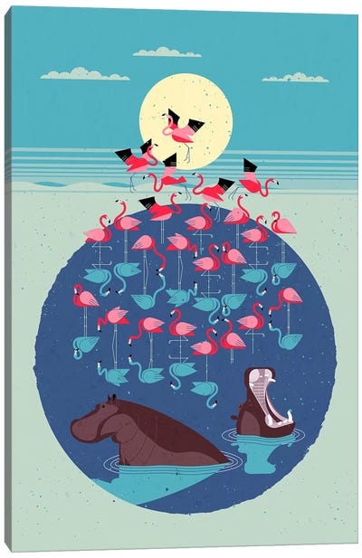 Flamingo Lake Canvas Art Print - Dieter Braun