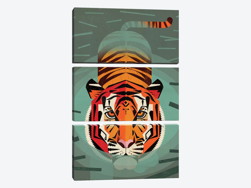 Tiger by Dieter Braun 3-piece Art Print