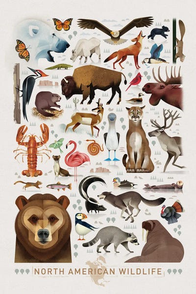 North American Wildlife by Dieter Braun multi panel art