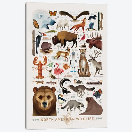 North American Wildlife Canvas Print #DBR44} by Dieter Braun Canvas Print
